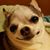 Diane Montalbano's profile image