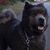 Grizz Jacobs's profile image