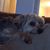 Nick Puckett's profile image