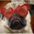 Sandi Castellano's profile image