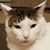 Jean Mazzuca's profile image