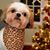 Michelle Shortencarrier's profile image