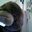 Elvia Rodriguez Ochoa's profile image