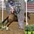 Pat Keck's profile image