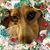 Juli Brockmann's profile image