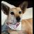 Jackie Robertson's profile image
