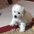 Terri Gordon's profile image