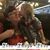 Holly C Wick's profile image