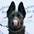 Susan Rivard's profile image