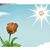 Debbie Downs Delgros's profile image