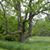 Elizabeth Ann Arthur's profile image