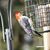 Mark Culwell's profile image