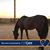 Kelly Huhn's profile image