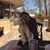 Jenifer Grellhesl's profile image