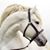 Teodoro Melo Prior's profile image