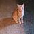 Kathy Stansbury Phillips's profile image