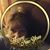 Theresa Gilliam's profile image