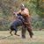 Kristine Nelson's profile image