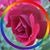 Mindy Easterday's profile image