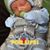 Rebecca Creech Jones's profile image