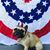 Michelle McMackin McBride's profile image