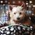 Bev Okeefe's profile image