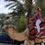 Patti Rivera's profile image