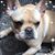 Cheryl Schwark Stine's profile image