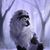 Edwin Flores's profile image