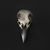 Stephen M. Carter's profile image