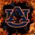 Shelia War Eagle Andrews's profile image