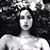 Claudia Elizabeth Musikul's profile image