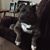 Pamela Bester's profile image