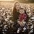 Amber Springfield Hipp's profile image
