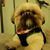 Sheila Dempsey's profile image