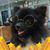 Sherry Westman Pomeroy's profile image