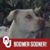 Michael Inselman's profile image