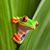 Linda P Smith's profile image