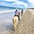 Andrea Sanchez's profile image