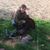 Emily Cornell's profile image
