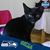Melody Frye's profile image