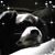 Lisa Garrison's profile image