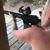 Beth Rosser Roberson's profile image