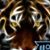 Gary Sanderson's profile image