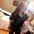 Felisha Stanton's profile image