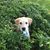 Diane Ruggiero's profile image