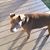 Sarah Jackson's profile image