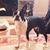 Carolyn Gastley's profile image