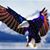 Cathy Fisher's profile image