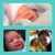 Chanda Chhay's profile image